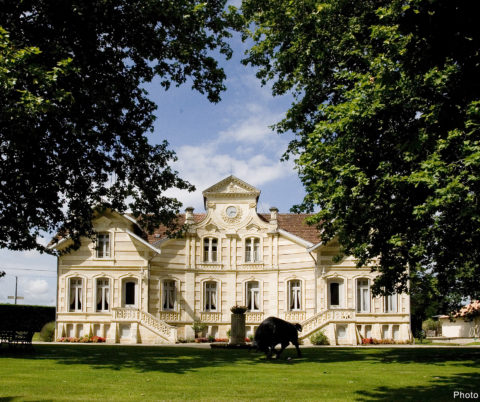 Château Maucaillou — photo 6