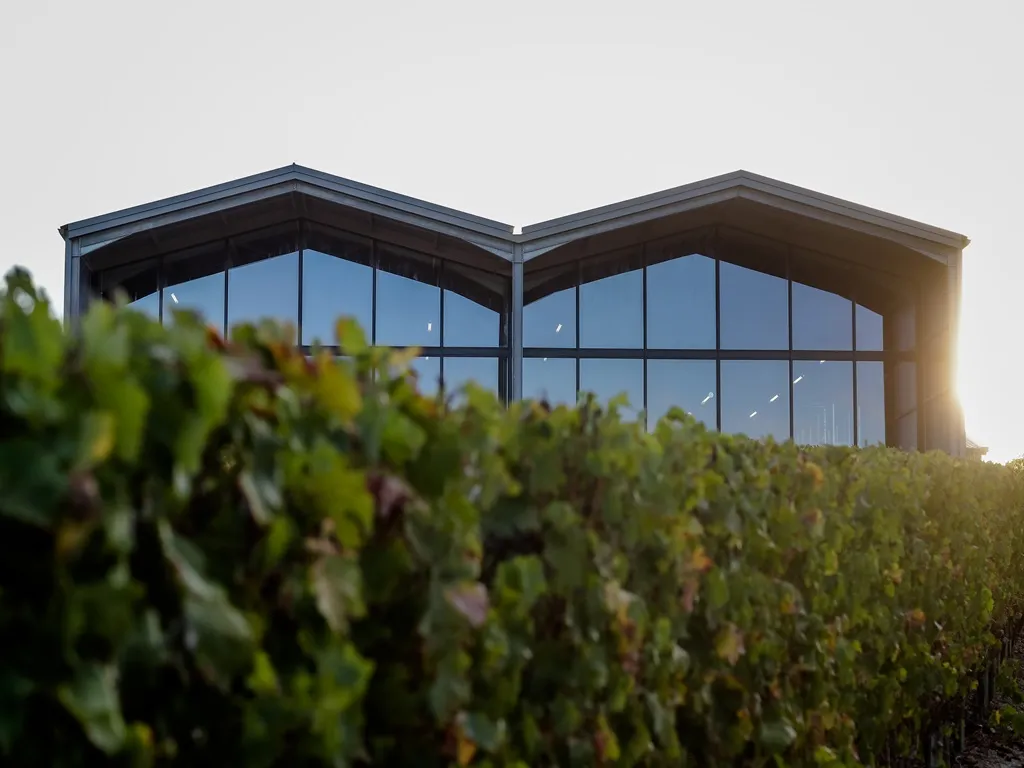 Bâtiment moderne avec façade en verre et charpente métallique noire, surplombant un vignoble, au Château Lauduc à Bordeaux