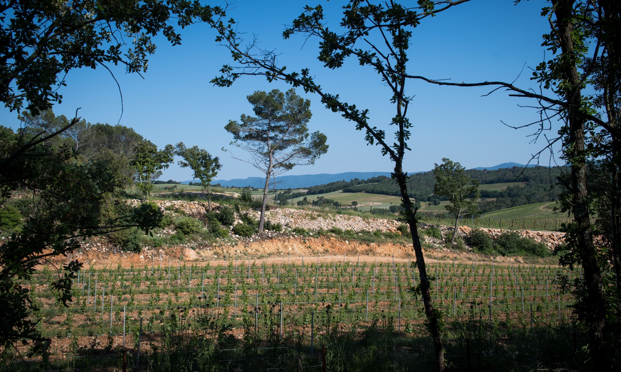 Château la Bernarde — photo 2