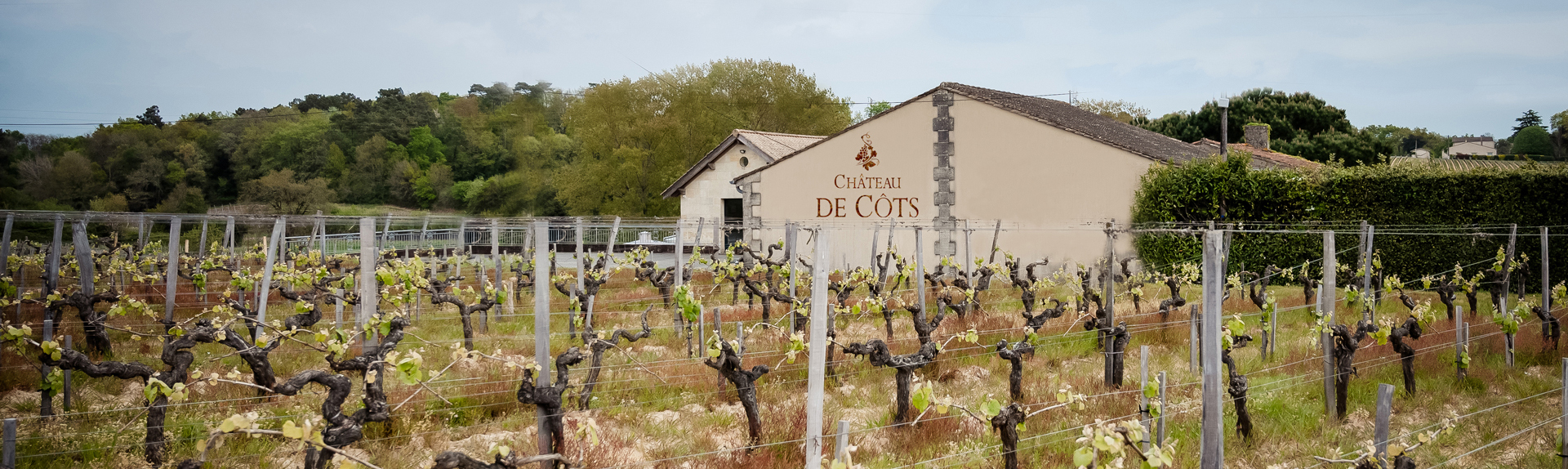 Vignes et facade du Château de Côts