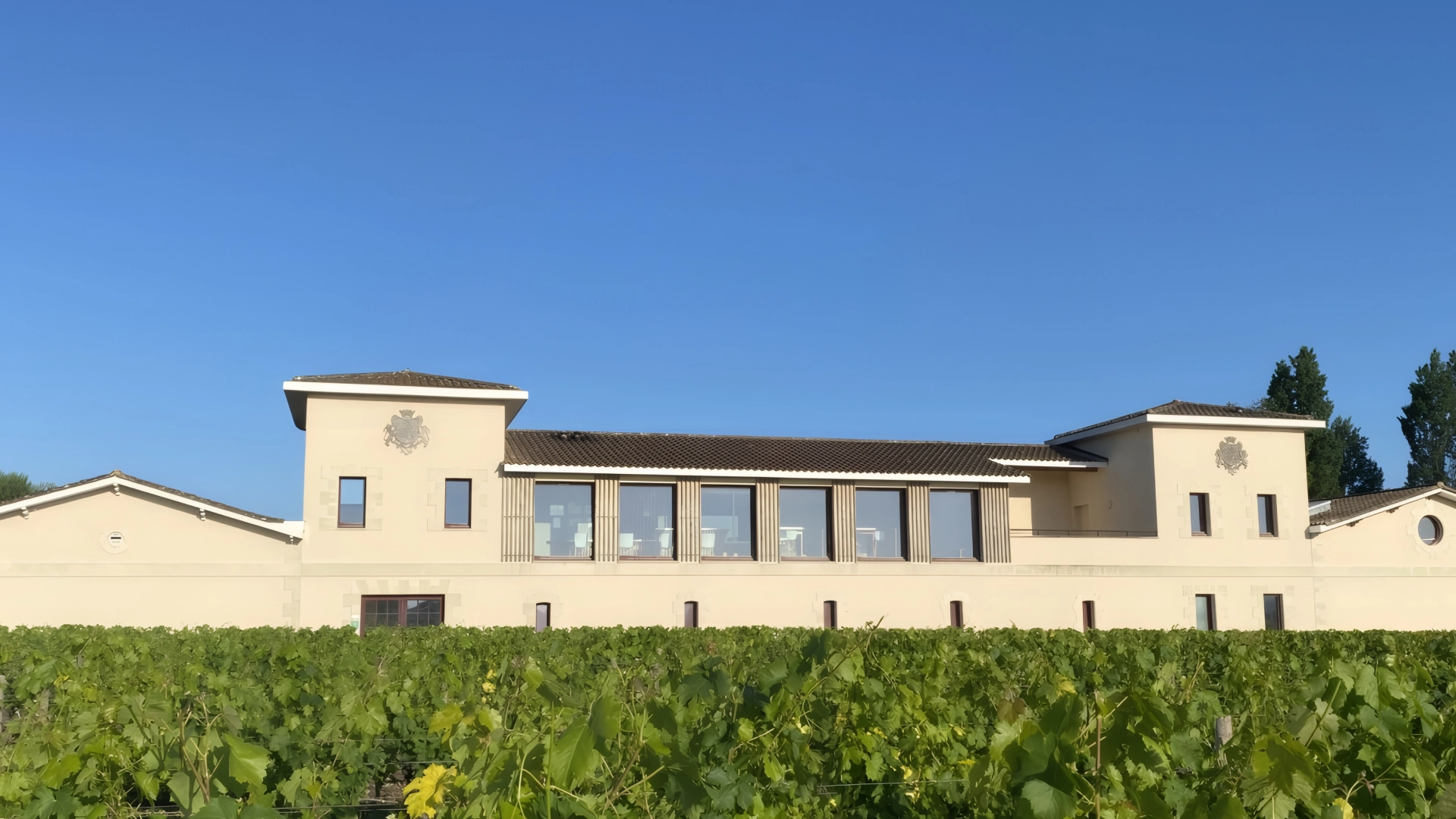Château Croix de Bertinat — photo 11