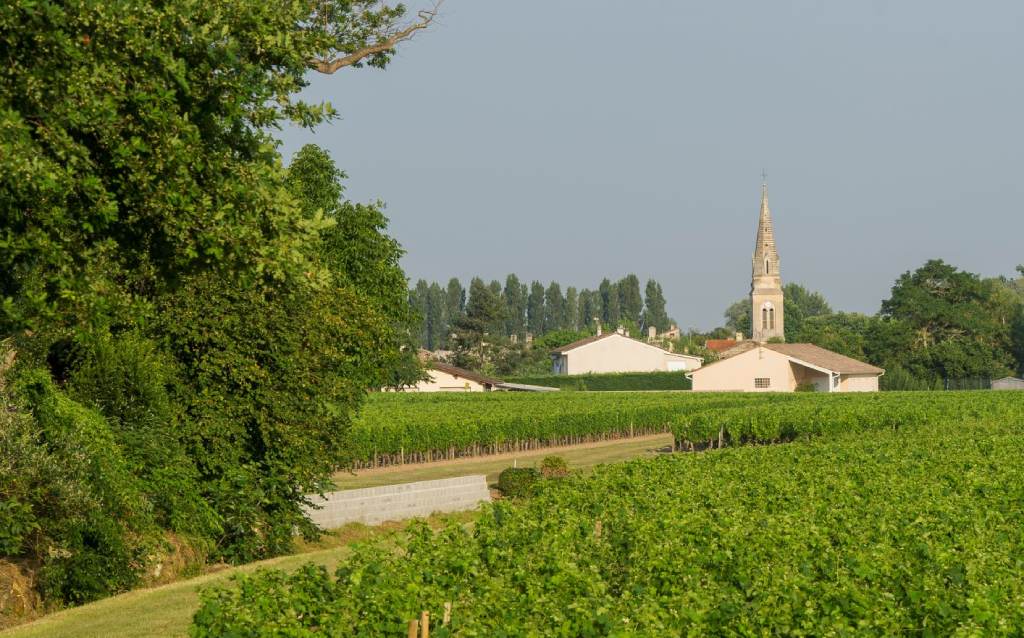 image-18