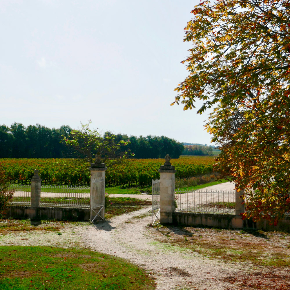Château La Gorce — photo 3