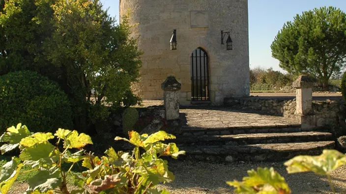 Château Balestard la Tonnelle — photo 8