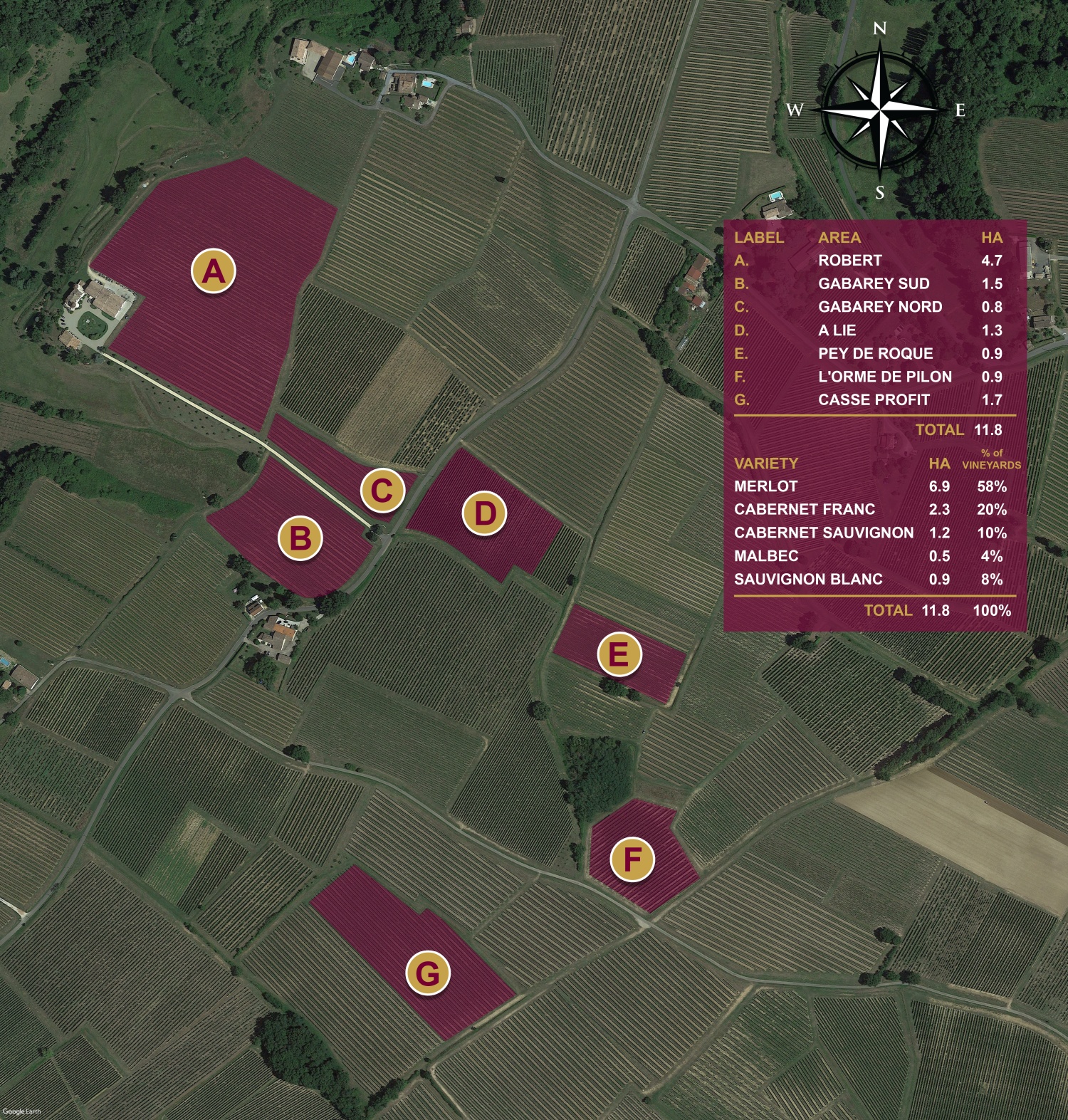 Château La Roberterie — photo 10