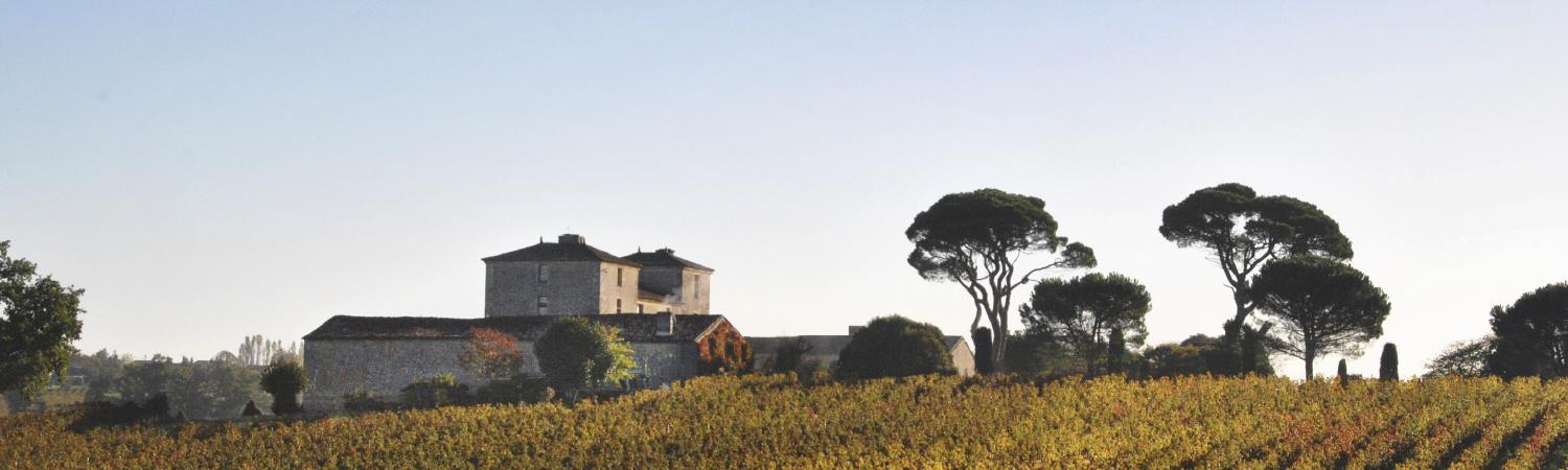 Château Peneau — photo 4