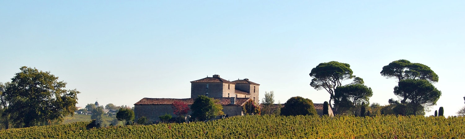 Château Peneau — photo 3