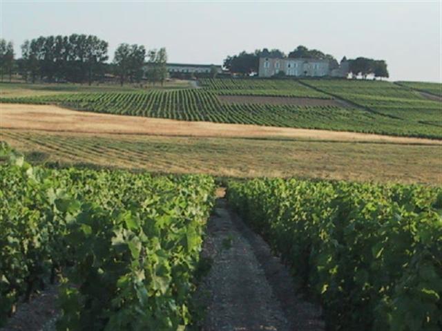 Château Valguy — photo 2