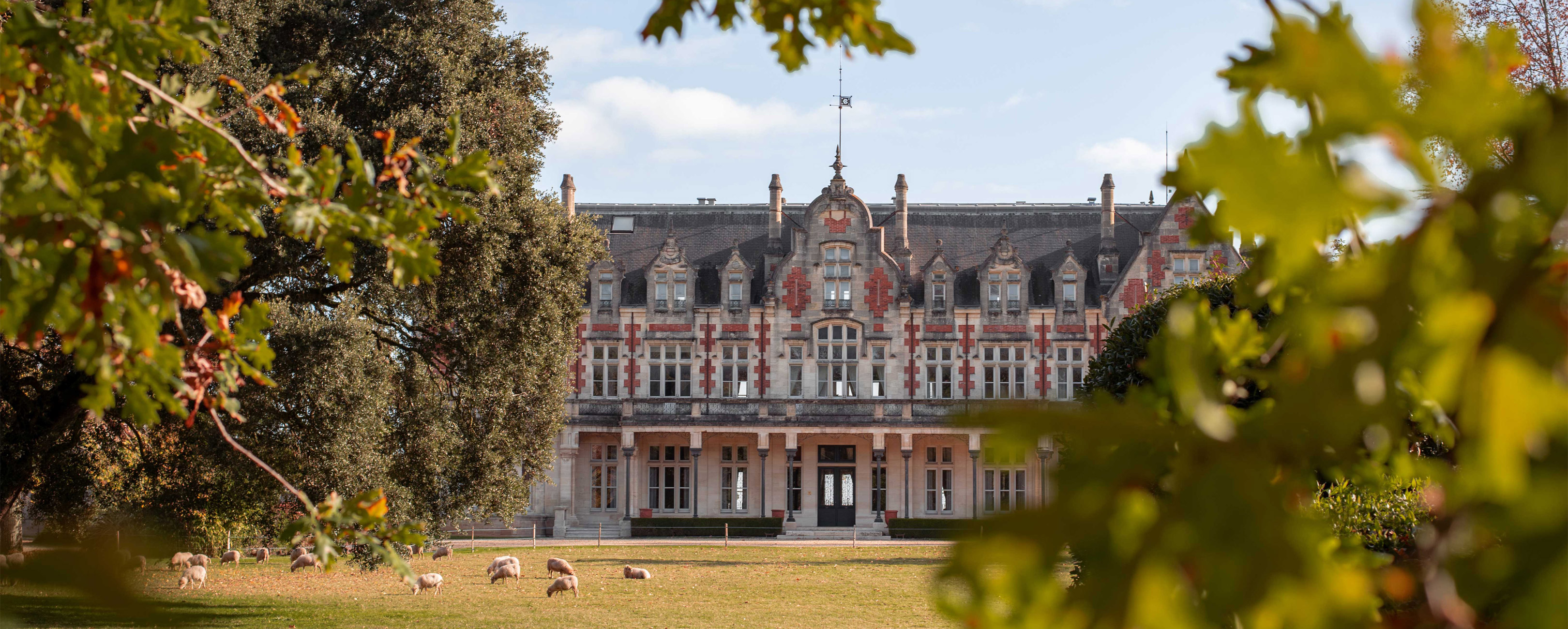 Château Cantenac Brown — photo 8