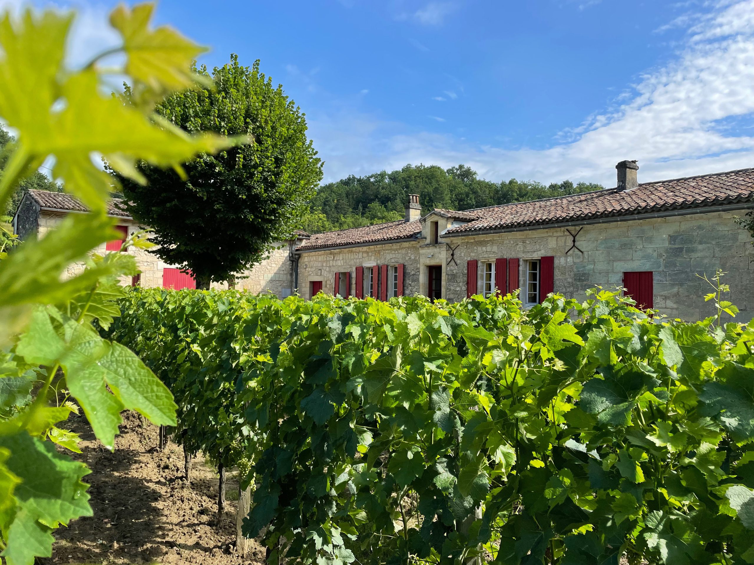 Château la Grangere