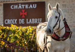 Château Croix de Labrie - Saint-Émilion Grand Cru