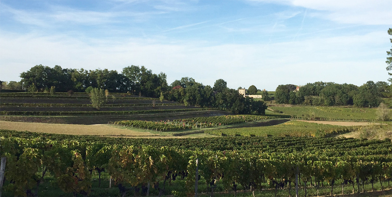 Château le Rey - Castillon Côtes de Bordeaux