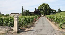 Château Saint-Georges Côte Pavie - Saint-Émilion