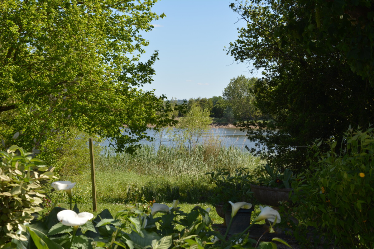 Château Bouladou Bernard — photo 5