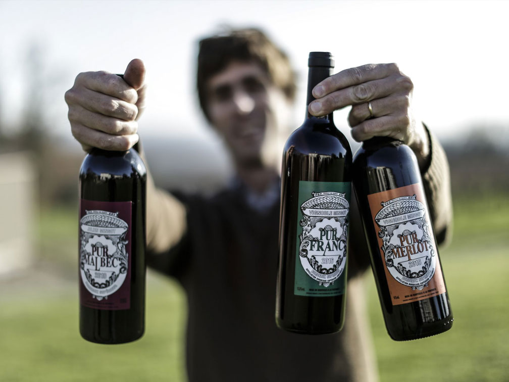 Vignoble Mingot — photo 4