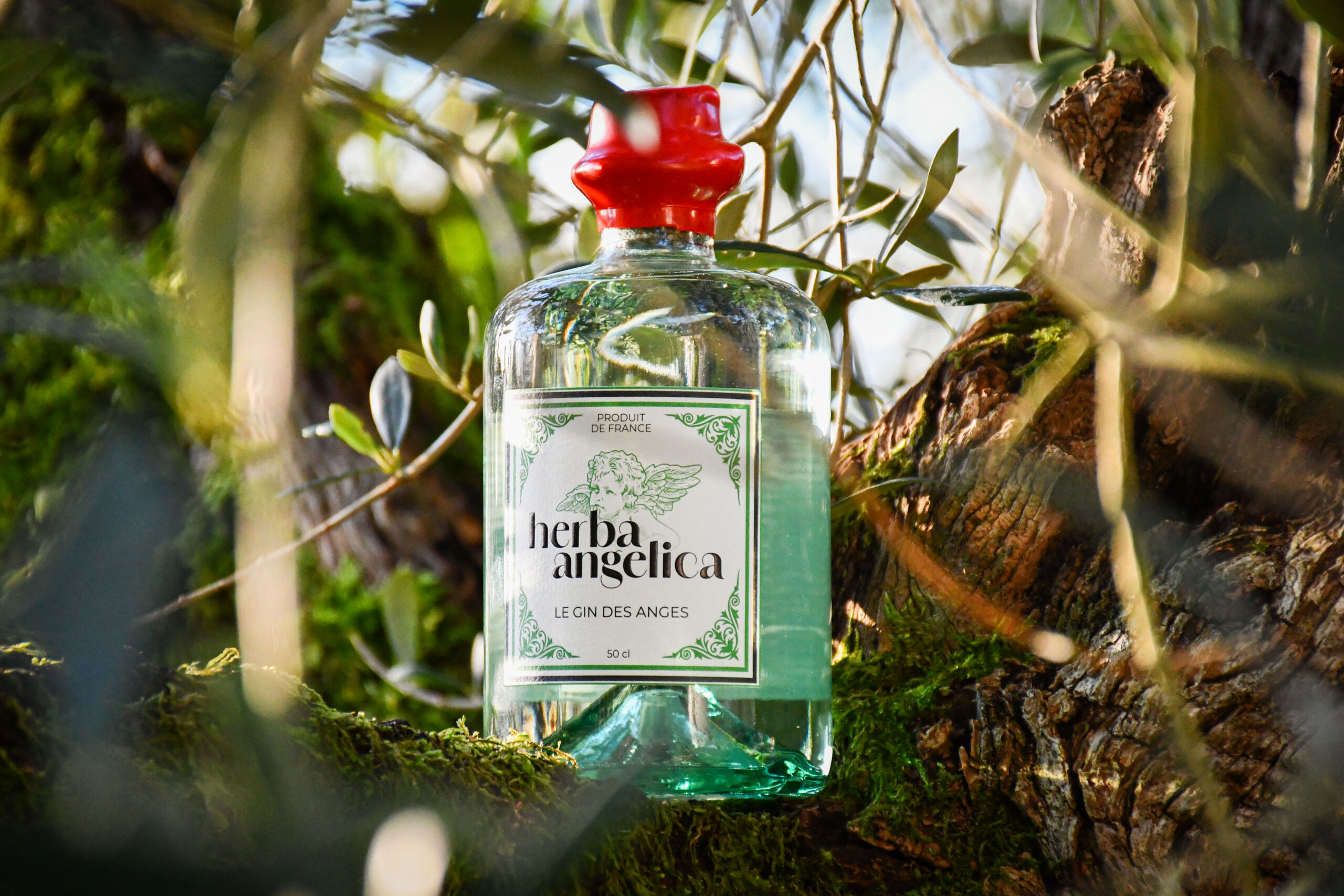 Château Angelica, Vignoble Confidentiel, Herba Angelica, le Gin des Anges - Bordeaux