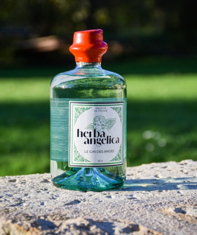 Herba Angelica