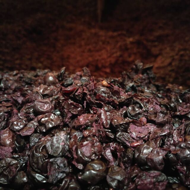 Nos Marcs de raisins sont magnifiques ! La preuve d'une extraction délicate ! Notre 2018 devrait être une petite douceur 🍇😋🍷 #vinification #winemaking #bordeaux #saintemilion #puisseguinsaintemilion #lussacsaintemilion #creation #plaisir #degustation #bonheur @chateaubranda
