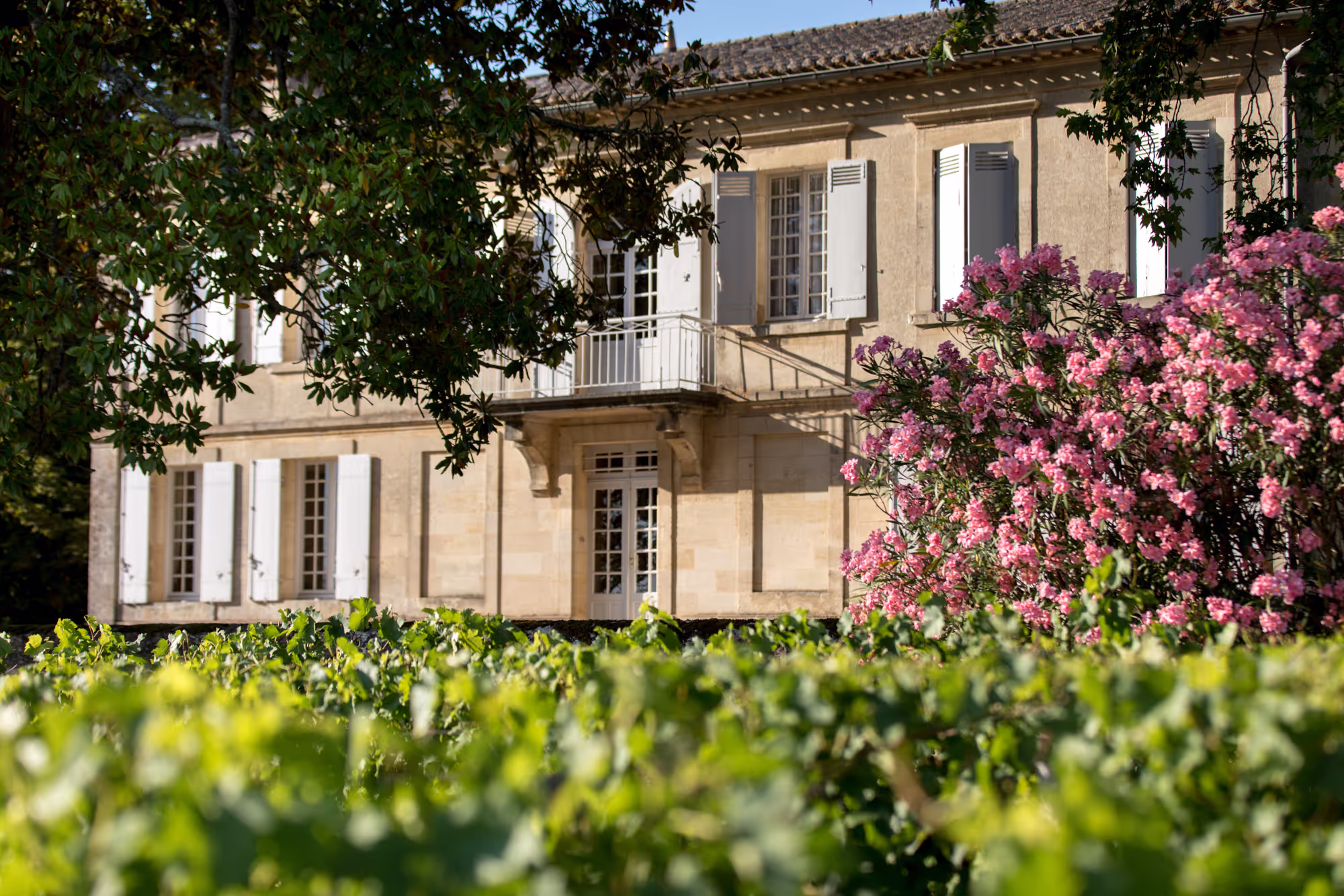 Château Daugay
