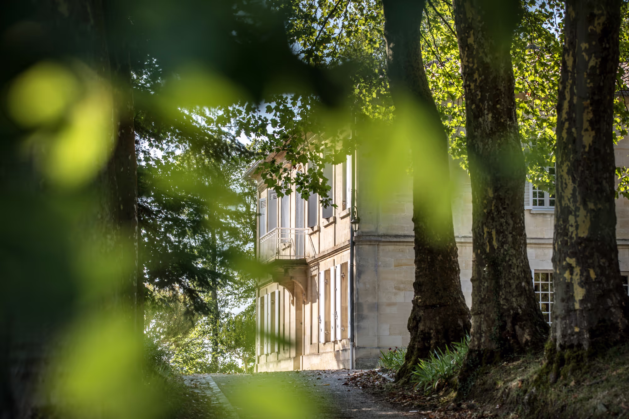 Château Daugay — photo 2