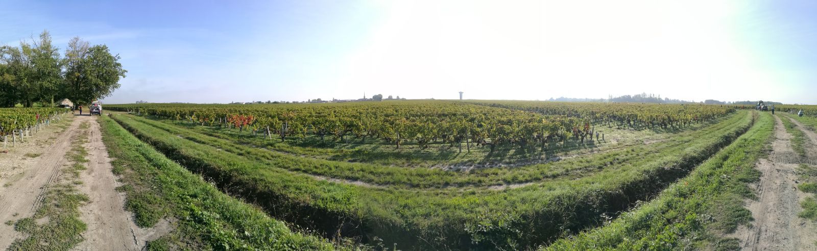 Château Finegrave — photo 4