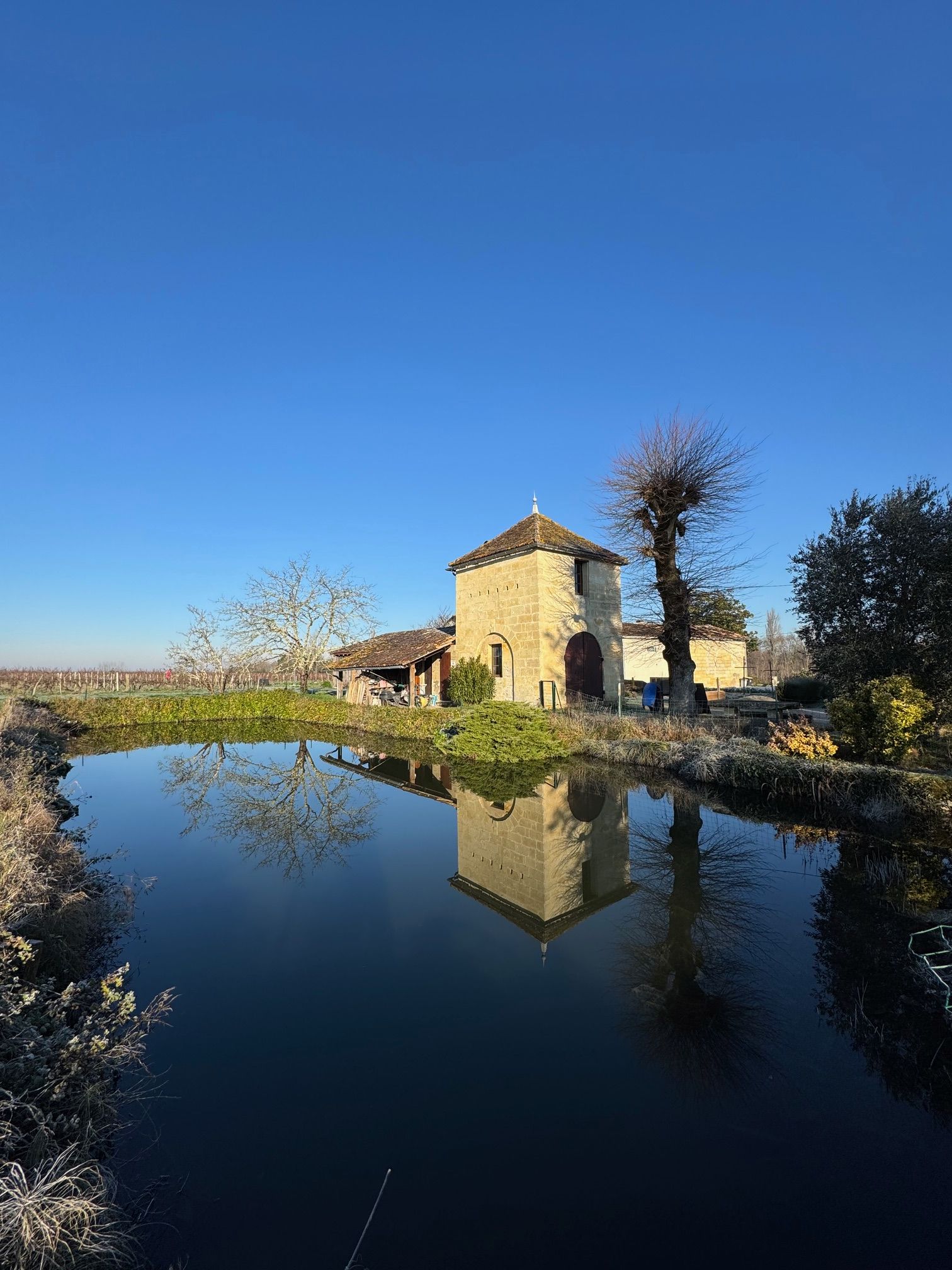 Château Vachon — photo 11