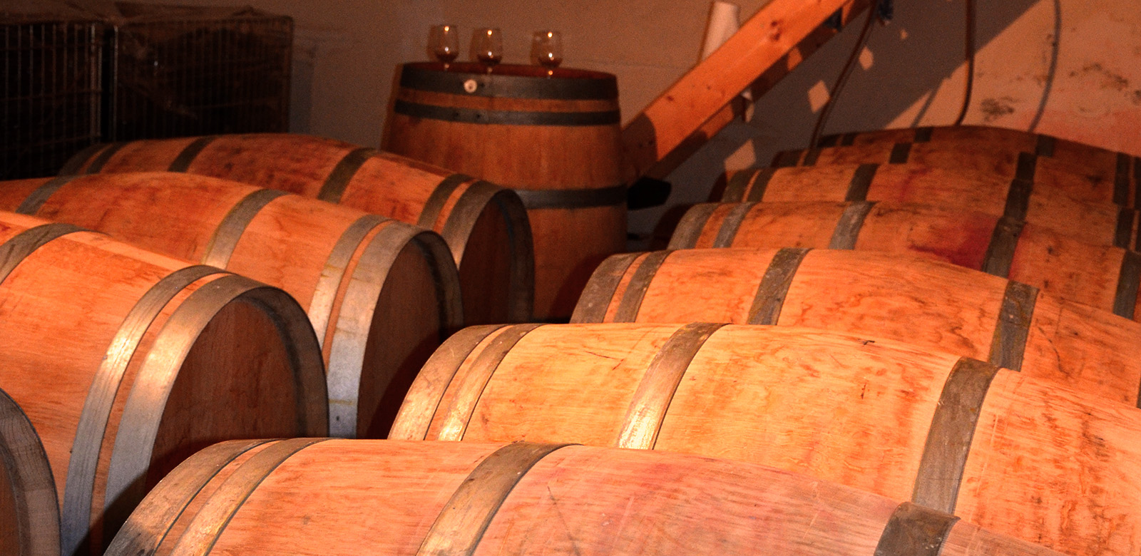 Château Fleur Balestre — photo 2
