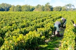 Chateau Lagorce-Bernadas 10