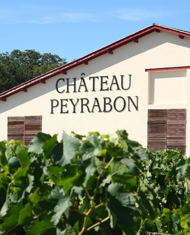 Château Peyrabon — photo 6