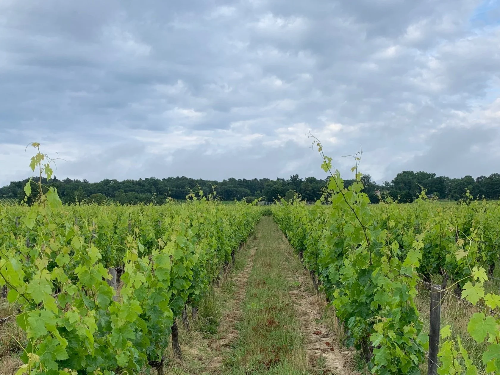Château du Champ des Treilles — photo 5
