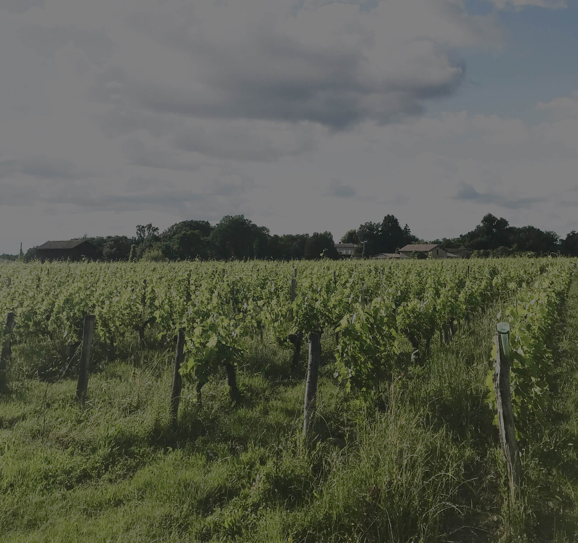 Château Cazebonne — photo 4
