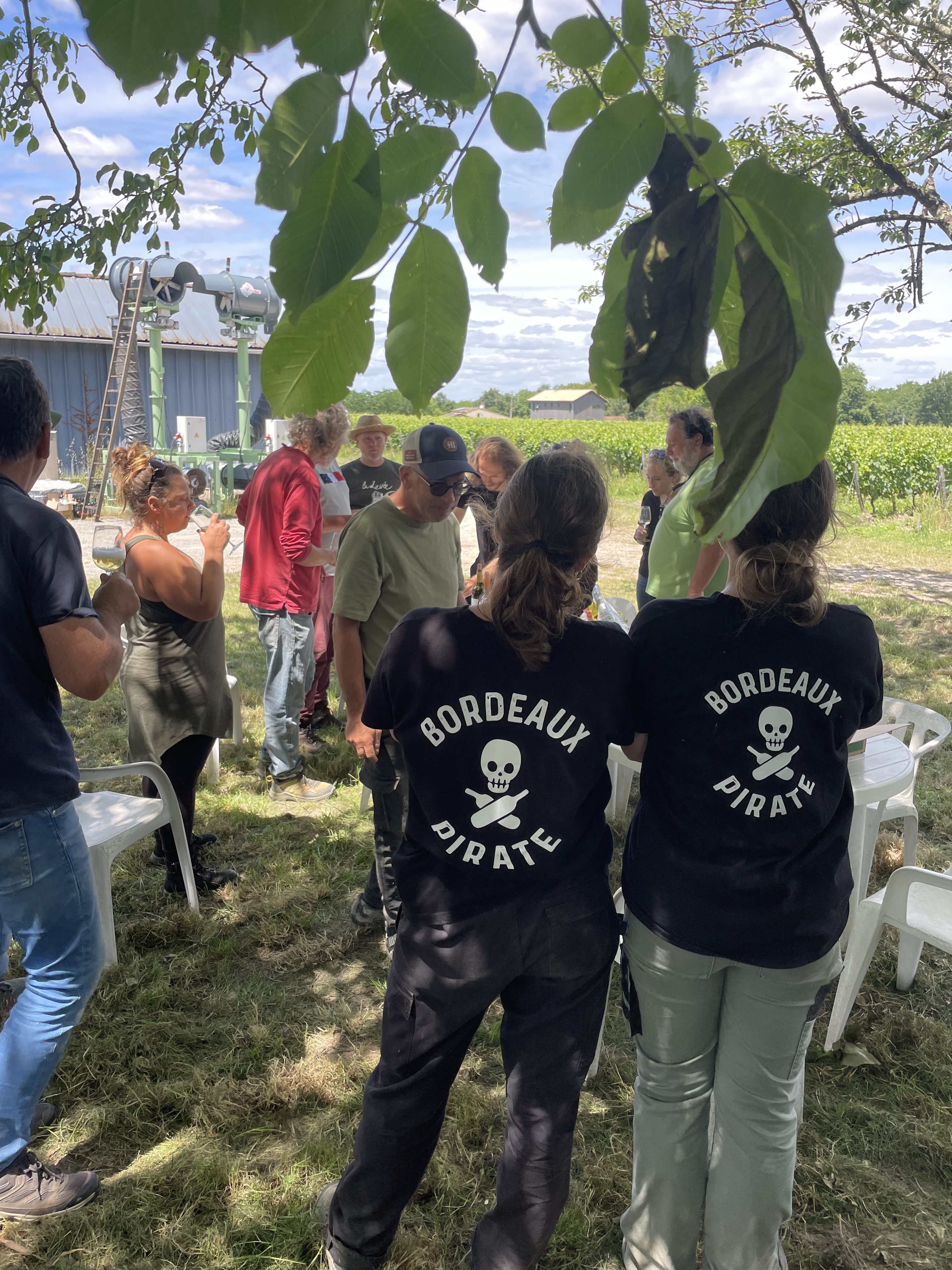 Bordeaux Pirate — cépages du domaine