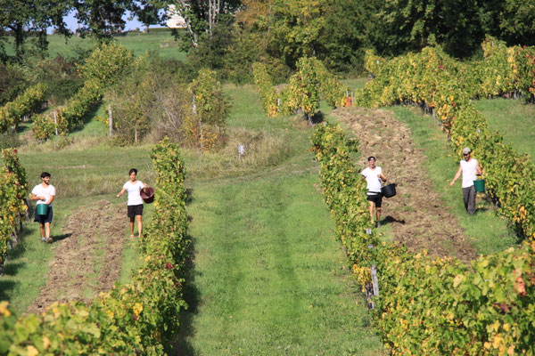 Château Mazeris Bellevue — photo 7