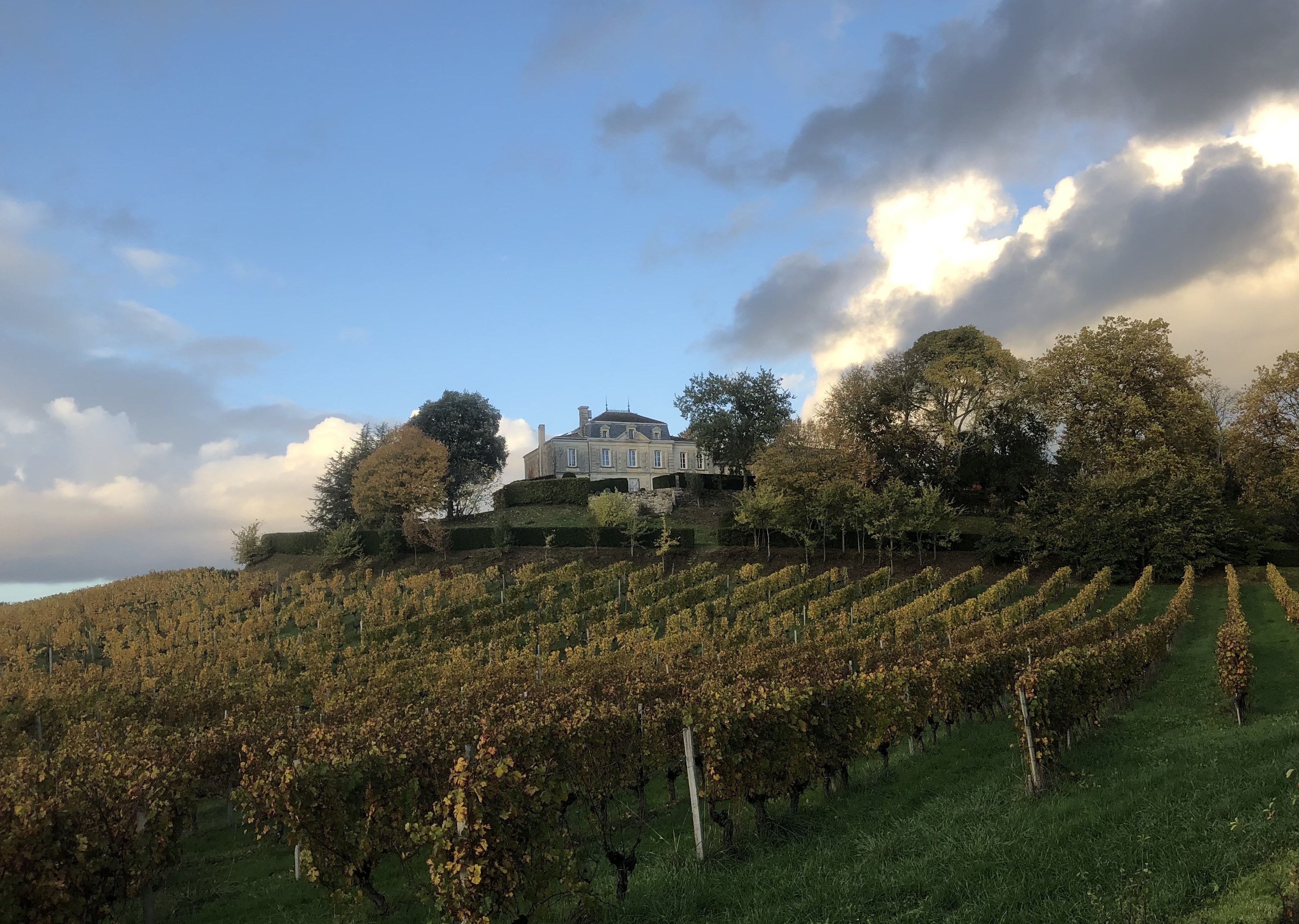 Château Mazeris Bellevue - Canon-Fronsac