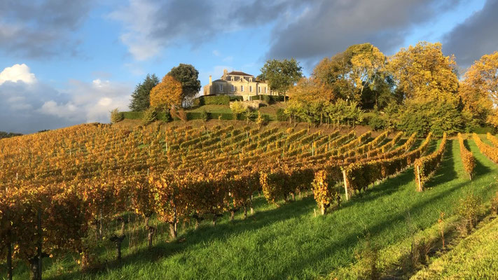 Château Mazeris Bellevue — photo 9