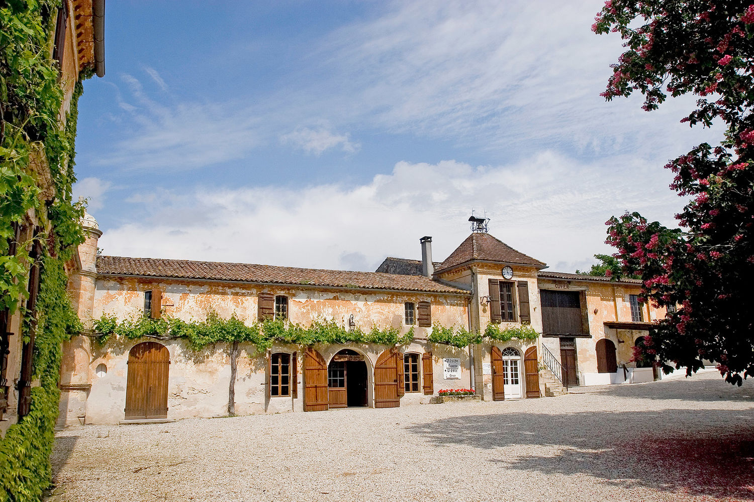 <p>Oenotourisme</p>