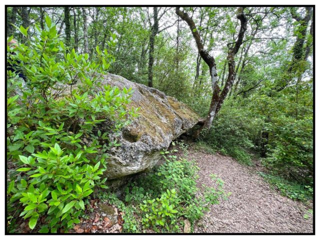 Le #megalithe du Picambeau à #lussac est associé à beaucoup de mystères et légendes. Caché dans la forêt au cœur du vignoble, il se découvre au détour de circuits de randonnée. Mais rien ne permet d’affirmer qu’il ait pu être associé à des rites gaulois. Chacun se forgera ses propres convictions 

#lussacsaintemilion #megalithes #gaulois #gironde #mysteres #druide #foret #lieumysterieux #vignoble #wineyards #girondetourisme #saintemiliontourisme #randonnée #trecking #igersgironde #igerssaintemilion #igersfrance #antiquity #antiquité