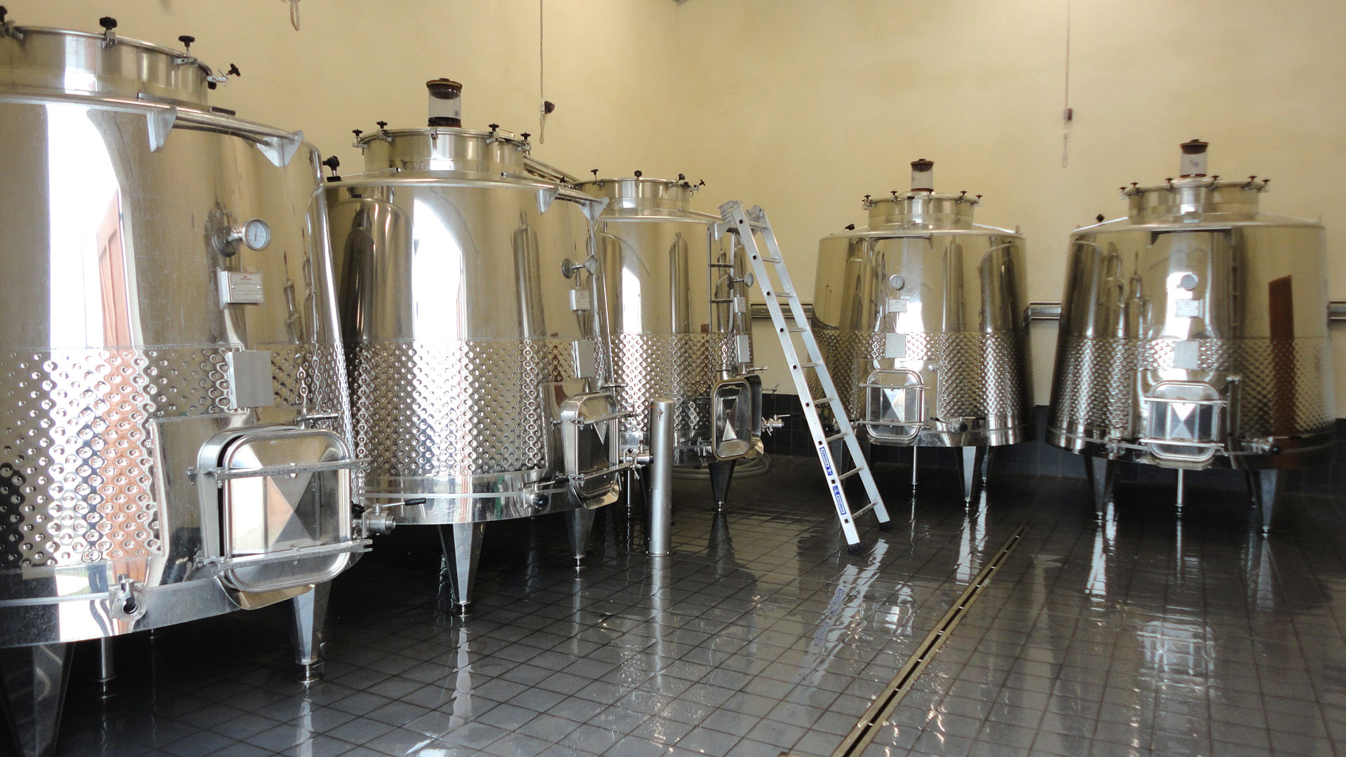 Clos Vieux Taillefer