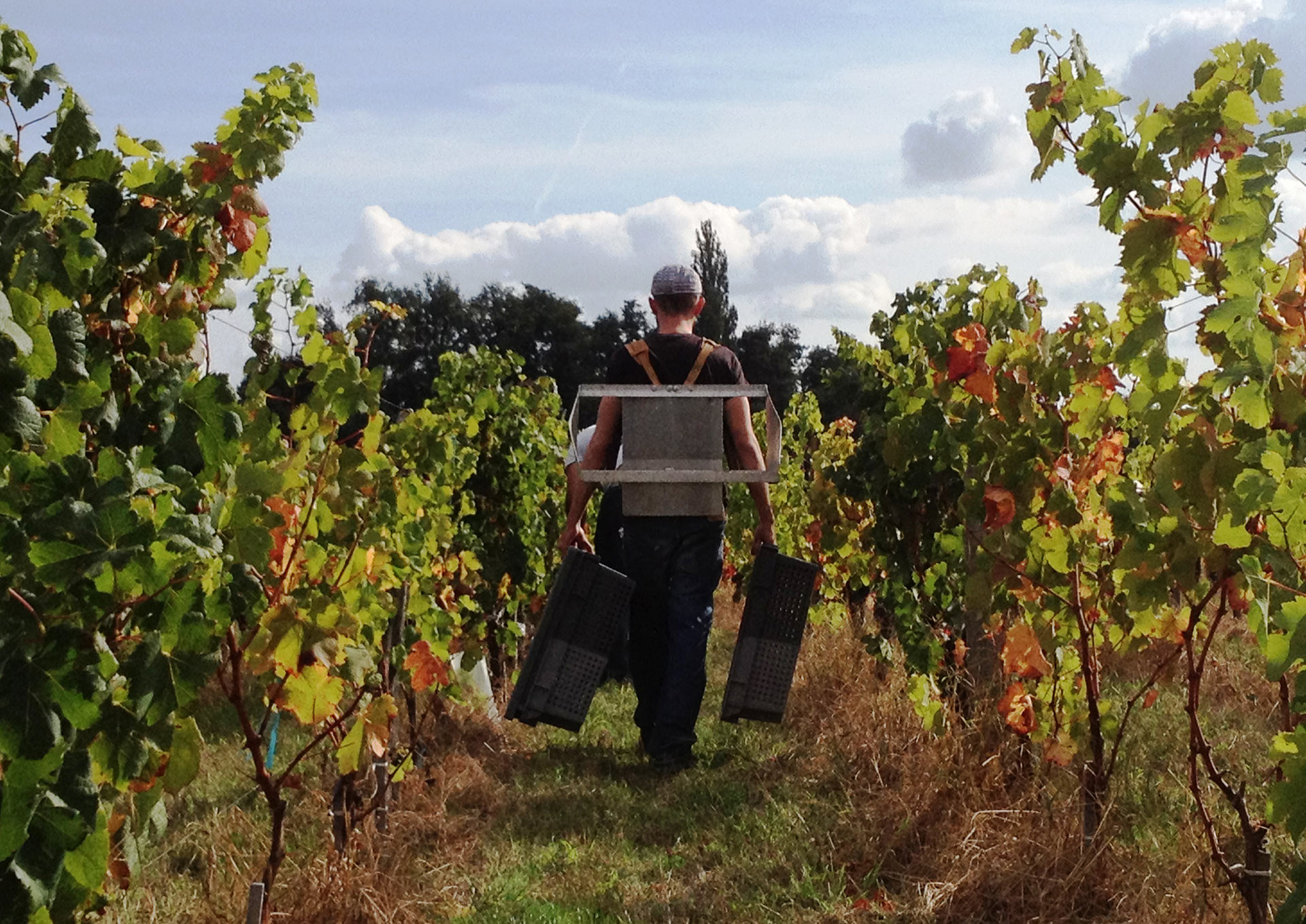 Clos Vieux Taillefer