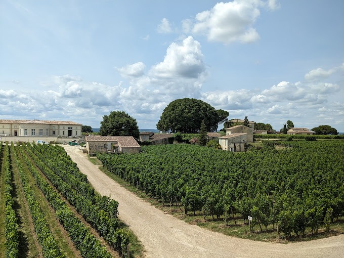 Château Joanin Bécot — photo 3