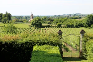 Château Puy Descazeau — photo 2