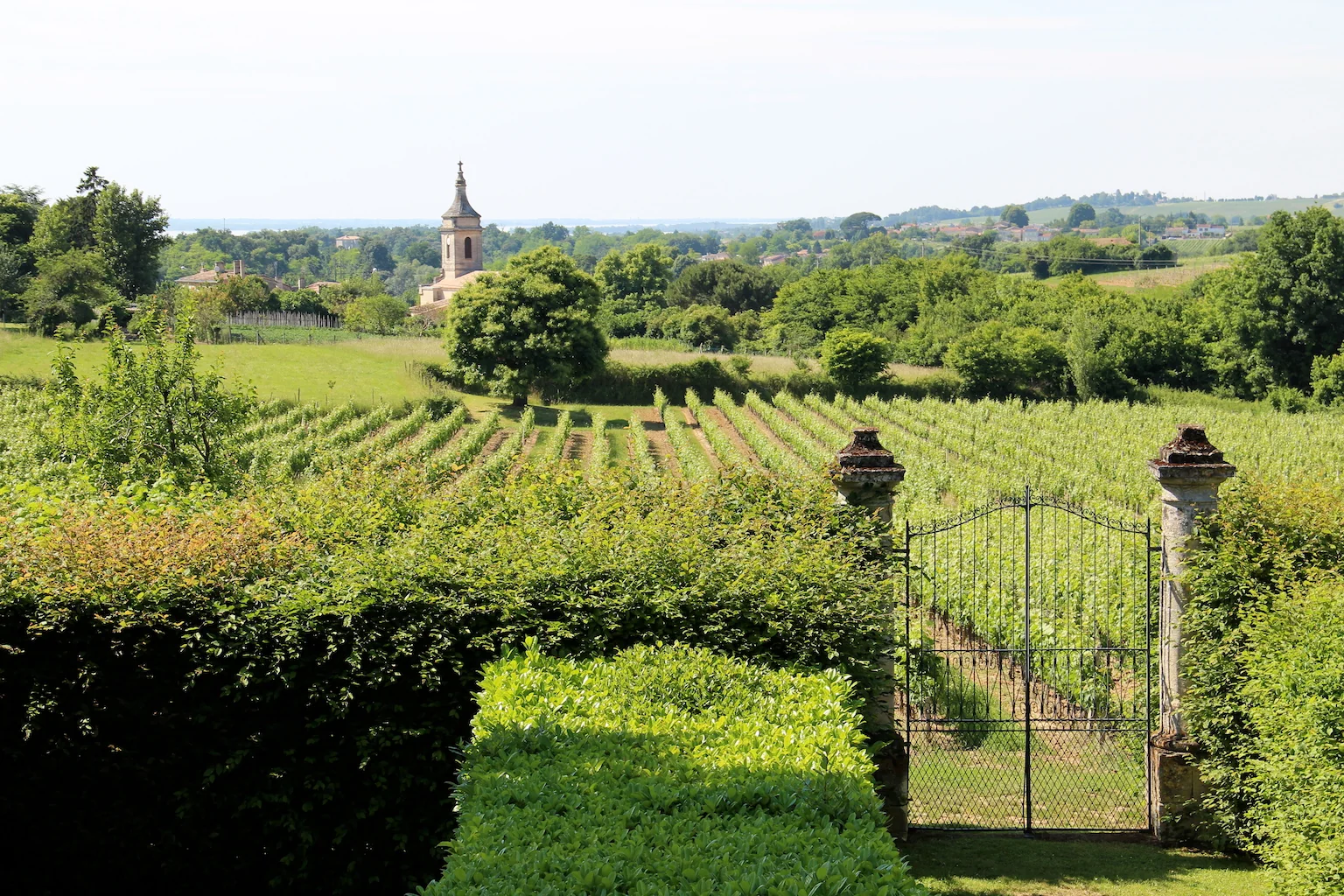 Château Puy Descazeau — photo 3