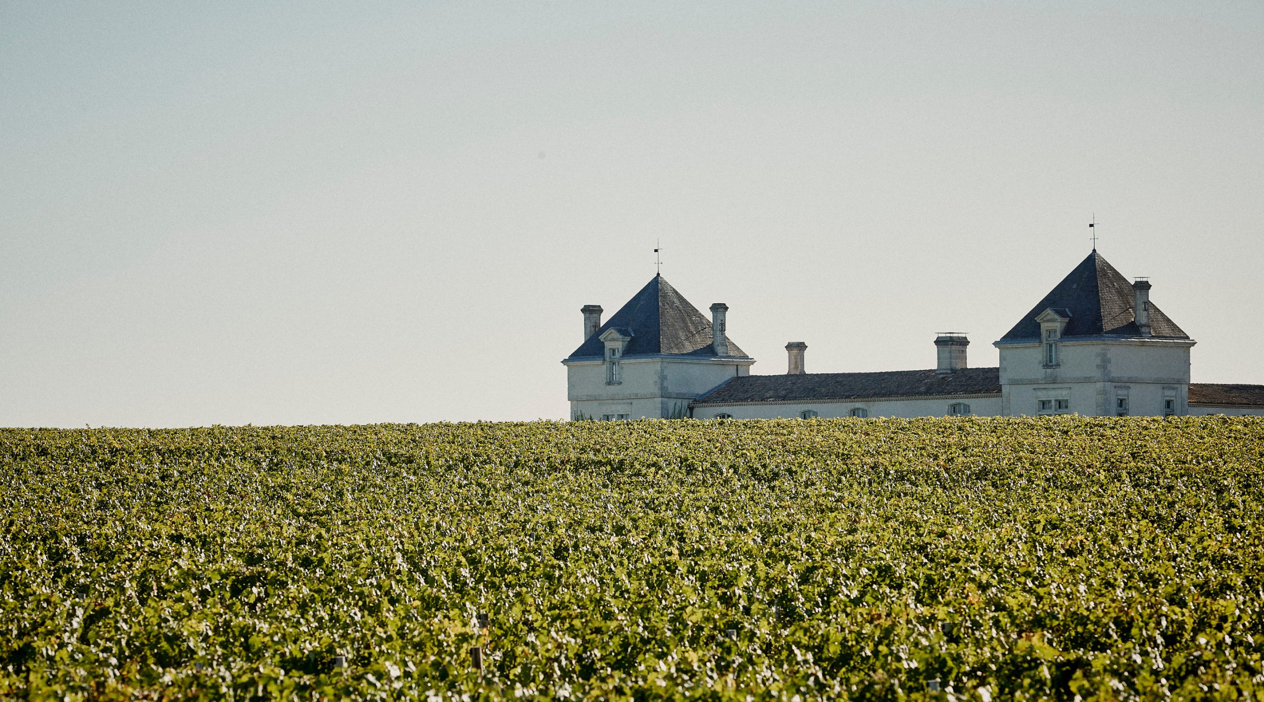 Château de Pez