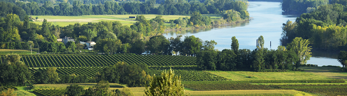 Des terroirs d'exception