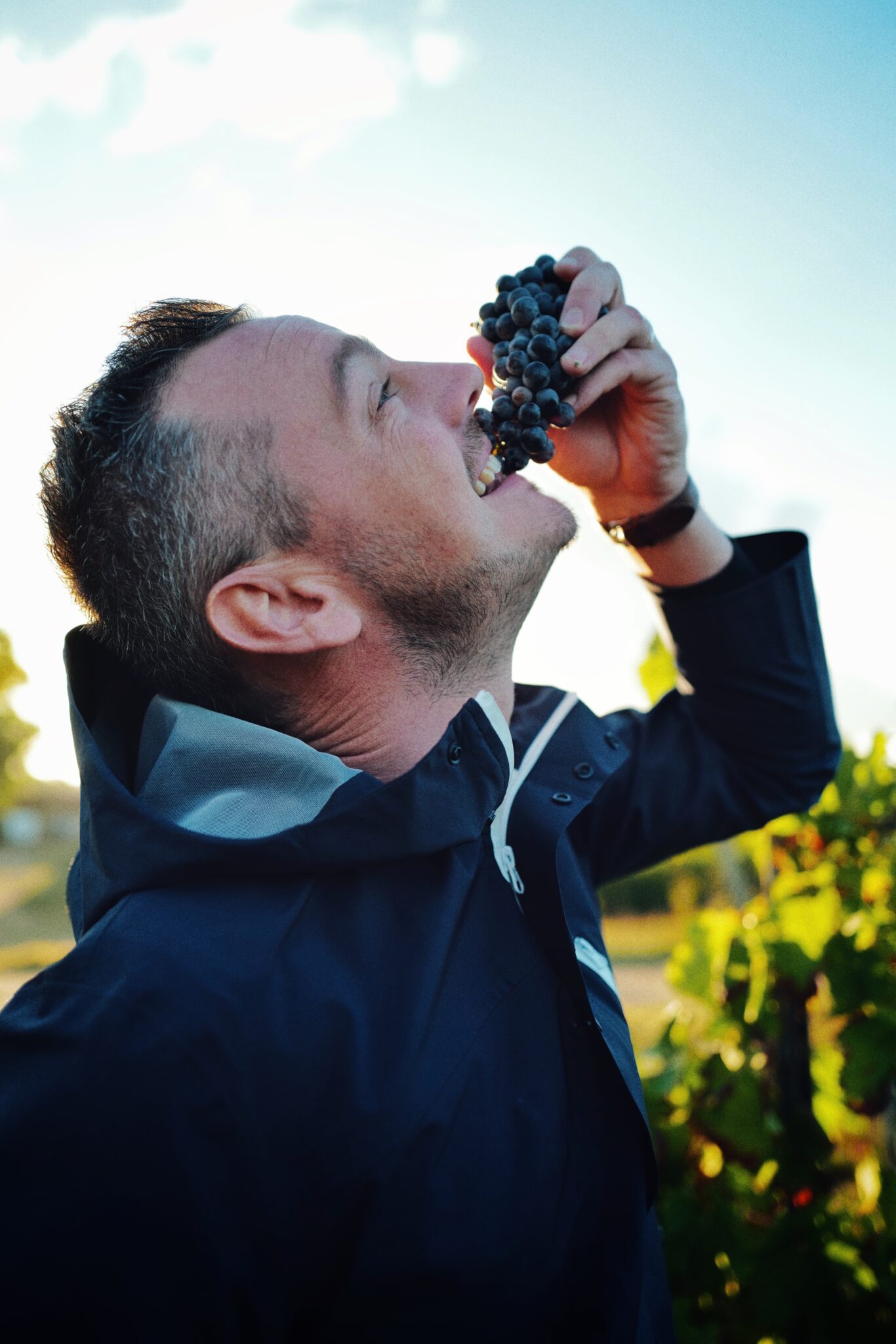 Etienne goute le raisin de Chateau Penin