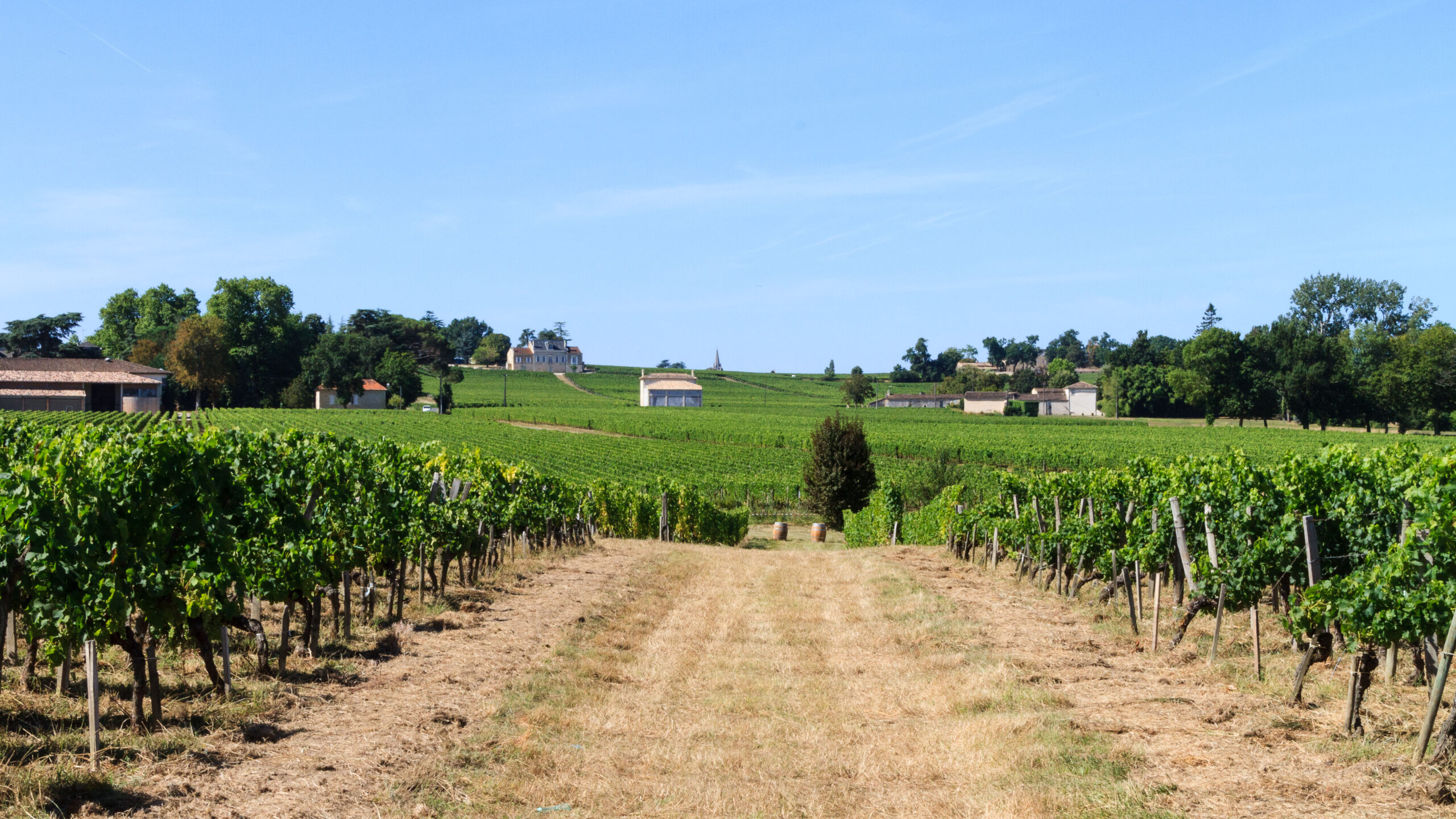 Que faire à Saint-Émilion et Libourne en août ? Deux soirées musicales à ne pas manquer