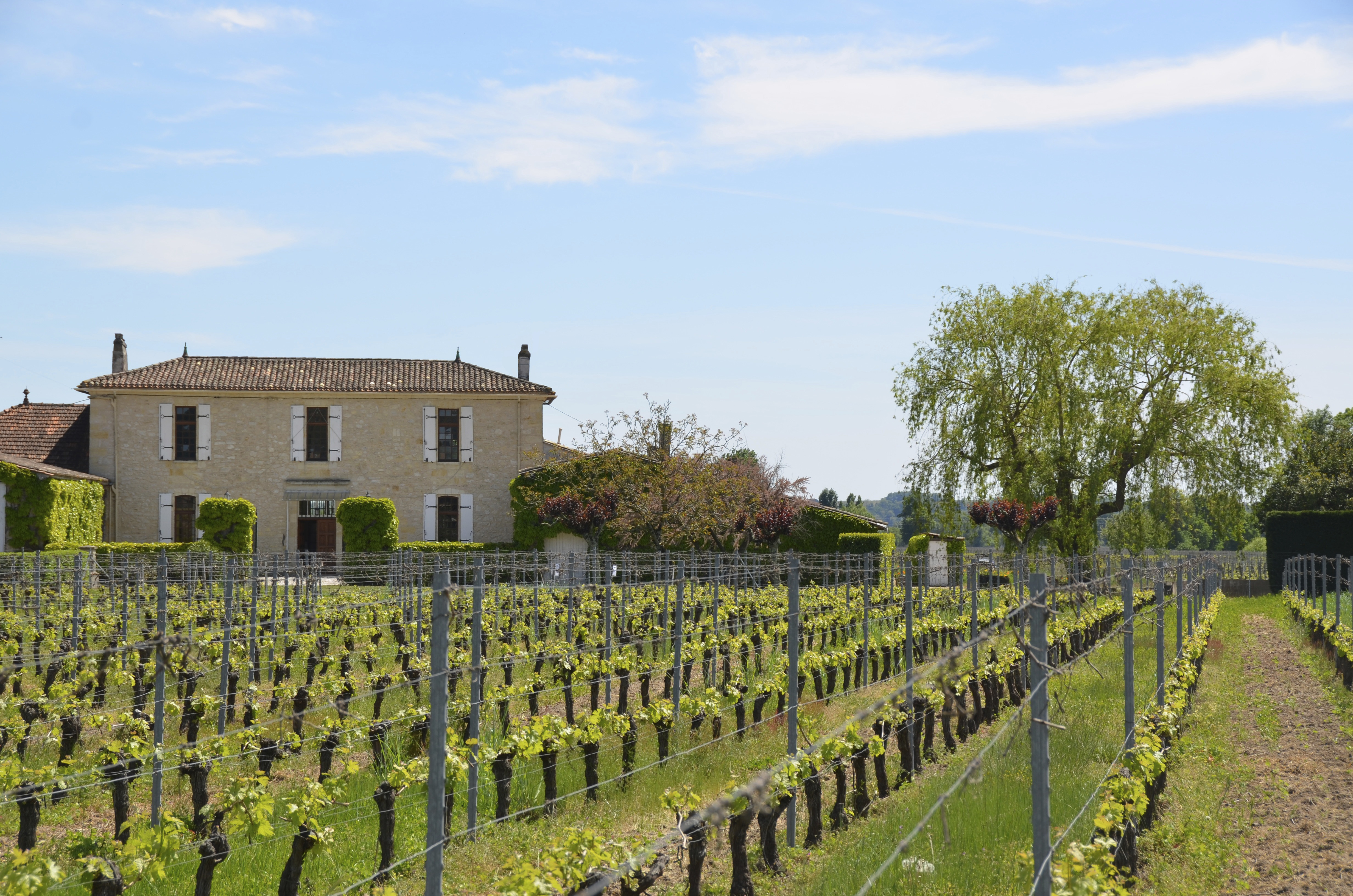 Château la Renommée