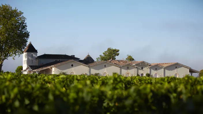 Clos des Jacobins — photo 8