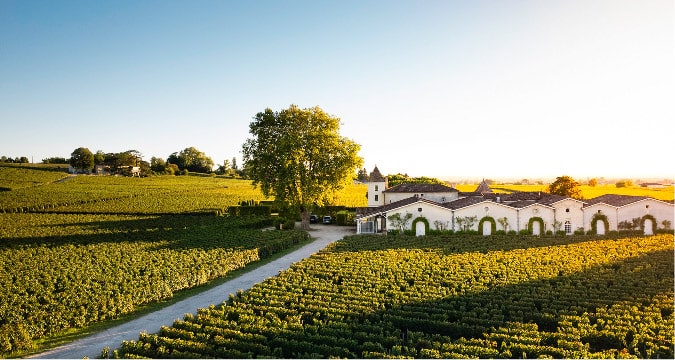 Clos des Jacobins - Saint-Émilion Grand Cru
