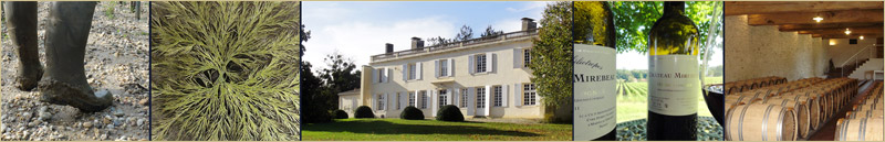 Château Mirebeau — photo 2